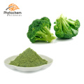 Bulk fresh frozen dehydrated broccoli powder